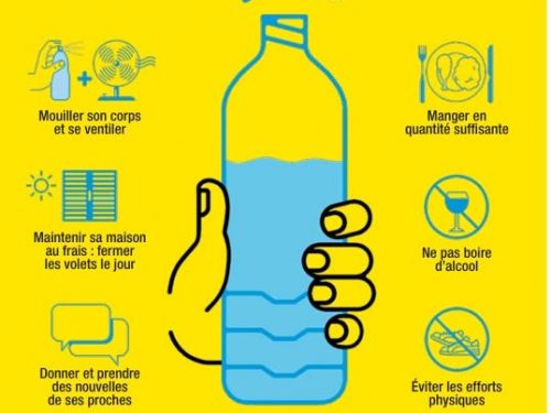 DISPOSITIF DE VEILLE – FORTES CHALEURS/CANICULE