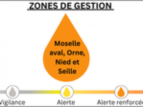 Sécheresse : la Meurthe-et-Moselle passe en situation d’ALERTE RENFORCÉE